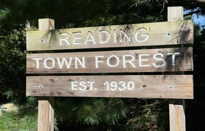 🌳 Trees for Reading