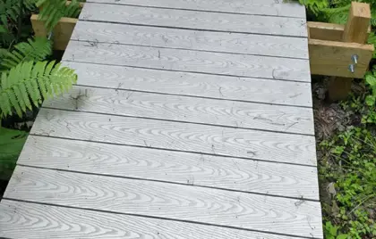 Reading Town Forest Boardwalk Fundraiser