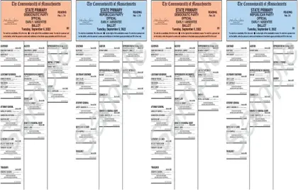 State Primary Election at RMHS Today