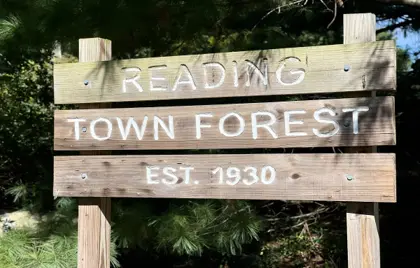 π² Dead Tree Removal Underway at Town Forest