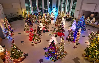 ๐ Festival of Trees Raises $37,000