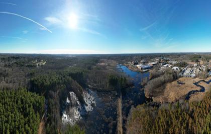 🌲 Reading Town Forest Aerial Footage Video