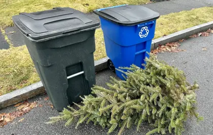 ๐๏ธ Trash & Christmas Tree Pickup Delayed 1 Day