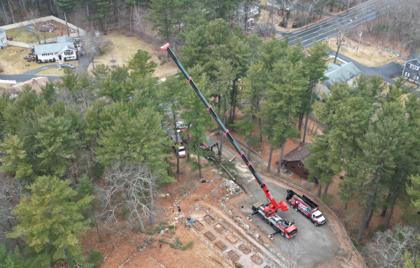 🌳 Mattera Cabin Gets Tree Work Video