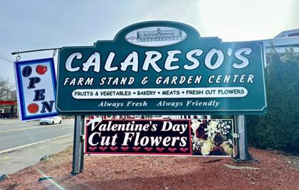 💸 Various PTO Calareso’s Fundraiser’s