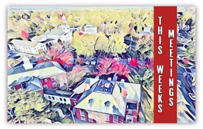ποΈ This Week in Meetings 8/28 β 9/1