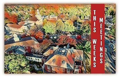 ποΈ This Week in Meetings 8/7 β 8/11