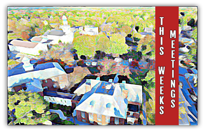 ποΈ This Week in Meetings 11/6 β 11/10