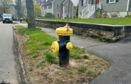 🚰 Water Main Week 5 Flushing Begins Today