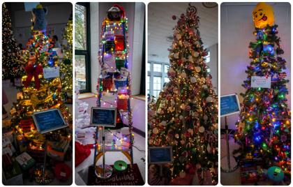 π 2024 Festival of Trees Winners