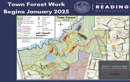 🪵 Town Forest Tree Work Begins Today