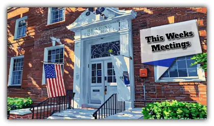 🗓️ This Week in Meetings 8/11 – 8/15