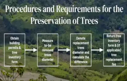 🌳 Climate Advisory Committee Proposes Tree Preservation Bylaw