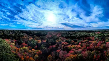 ๐ Town Forest Foliage 2025 โ Photos & Drone Video