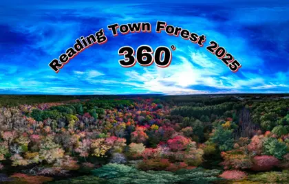 ๐ Three-Sixty Thursdays โ Town Forest 2025
