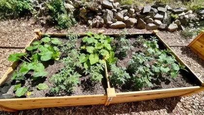 🌱 Apply for a Community Garden Plot!