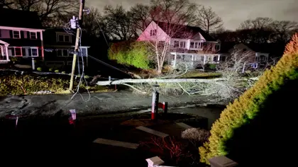 🌬️ High Winds Hit Reading Hard with Trees Down, Power Out Overnight