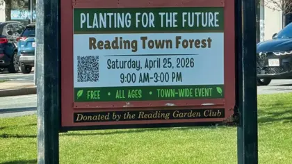 🌳 Planting for the Future – Saturday Morning