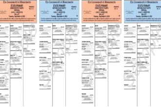 Voting Reading MA