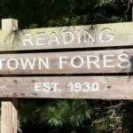 Reading Town Forest