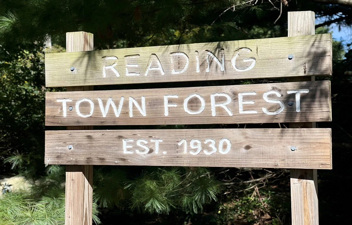 Reading Town Forest