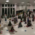 Festival of Trees Drone Preview 2022