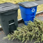 Trash and Trees Recycling Reading MA