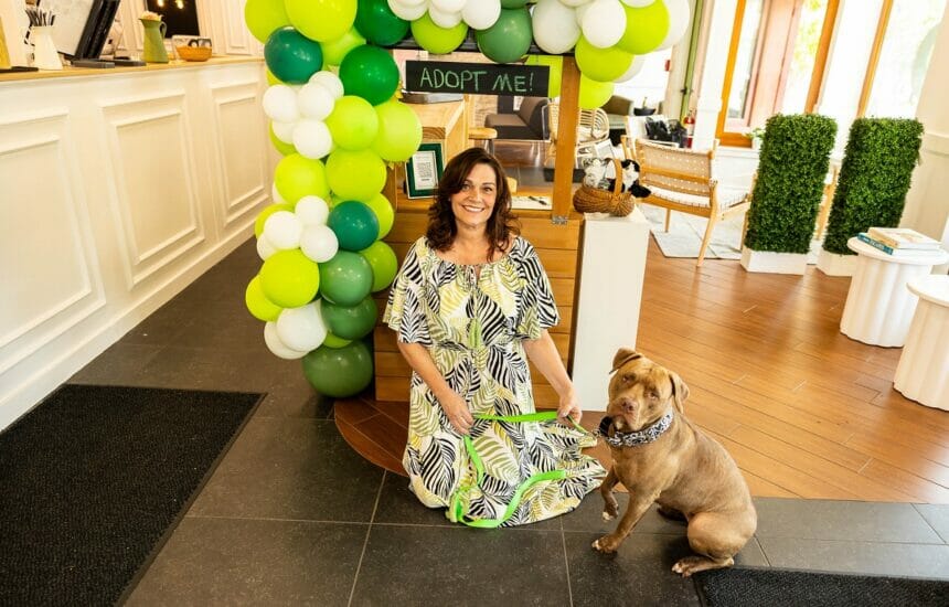 Susan Demetri, owner of Nana's Tea Time Treats with Hazel. Photos by Gold Leaf Photo Studio.