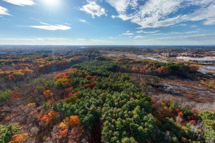 Fall Foliage in the Reading Town Forest - October 2023