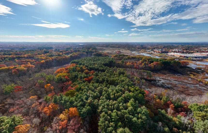 Fall Foliage in the Reading Town Forest - October 2023