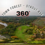 Town Forest September 2023