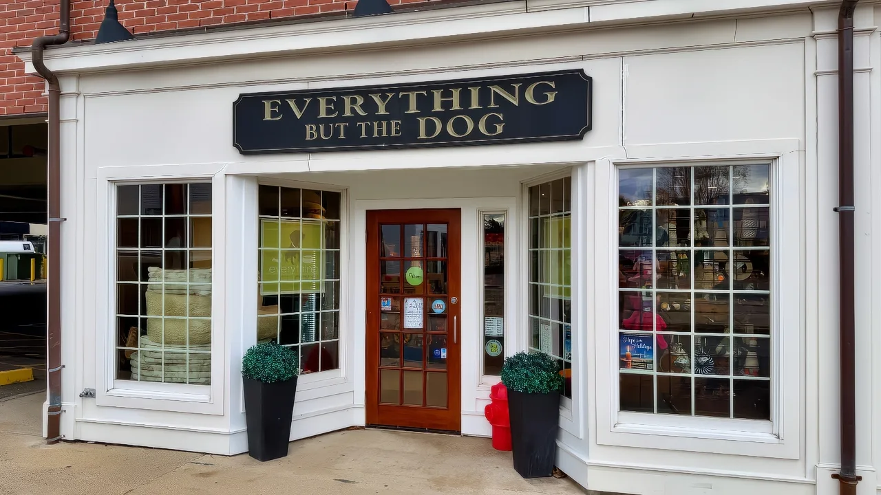 Everything but the dog 2025